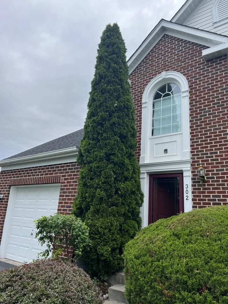 Trusted outdoor landscaping in Baltimore, MD - Jae Lawnscape And Bulk