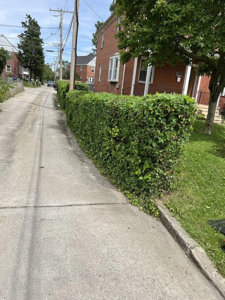 Professional lawn care service in Baltimore, MD by Jae Lawnscape And Bulk