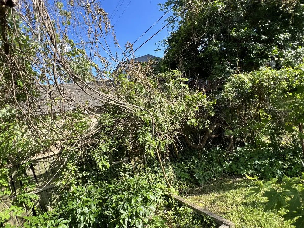 Top-rated outdoor landscaping in Baltimore, MD by Jae Lawnscape And Bulk