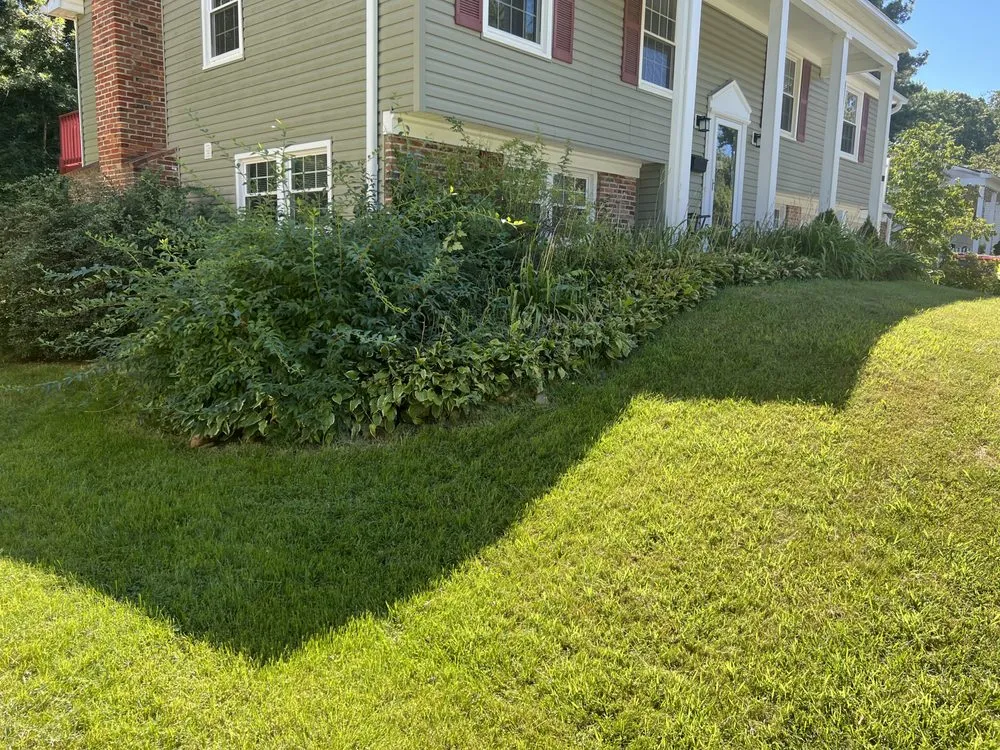 Reliable residential landscaping near you across Baltimore, MD - Jae Lawnscape And Bulk