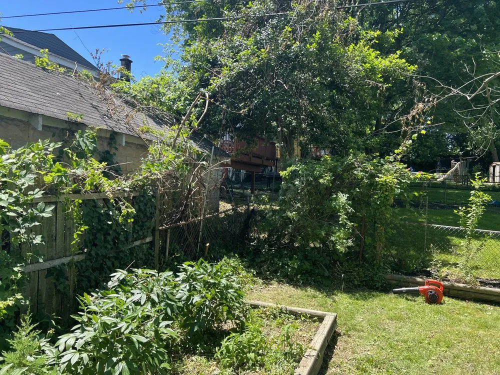 Affordable landscape installation with custom design in Baltimore, MD by Jae Lawnscape And Bulk