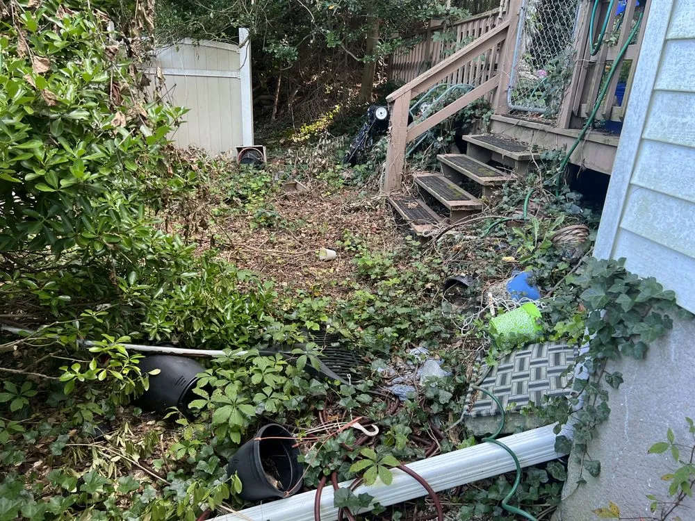 Trusted yard cleanup service for beautiful yards in Baltimore, MD by Jae Lawnscape And Bulk