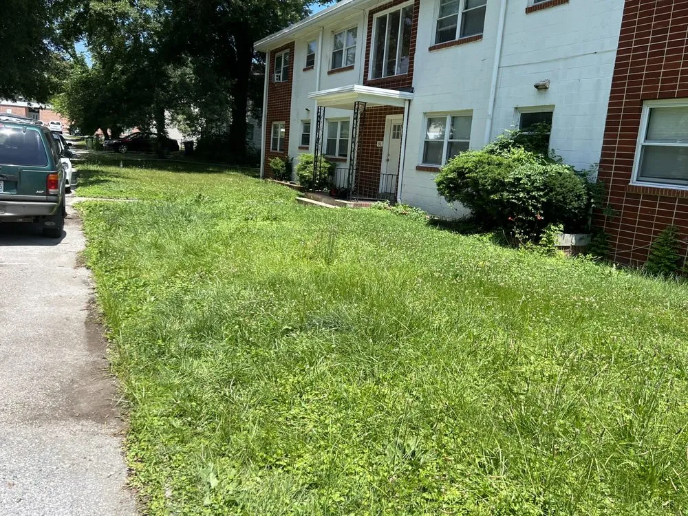 Professional landscape design for year-round maintenance in Baltimore, MD by Jae Lawnscape And Bulk