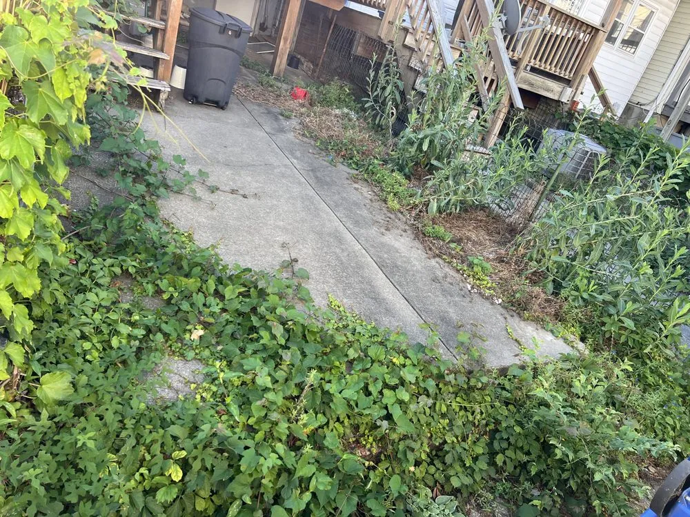 Reliable lawn mowing service in Baltimore, MD by Jae Lawnscape And Bulk