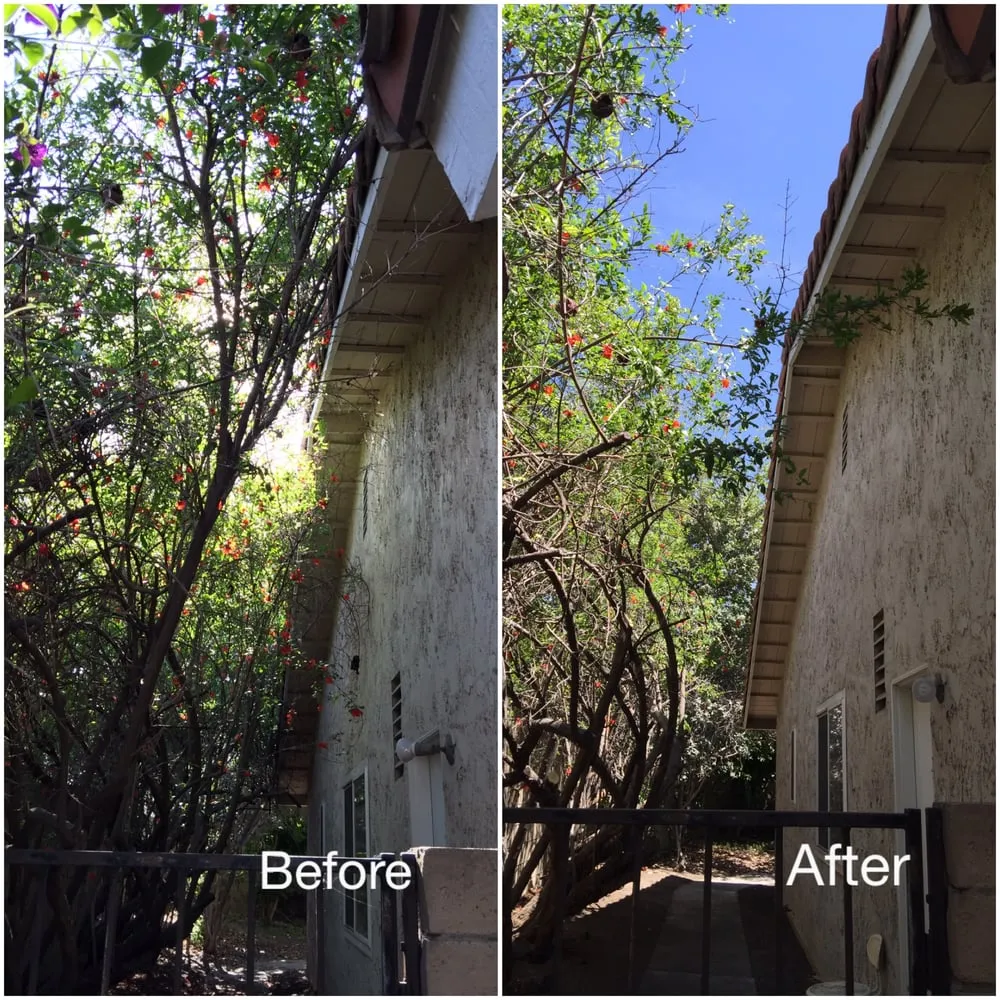 Affordable garden landscaping for homes in Fullerton, CA by Jae Tree Service