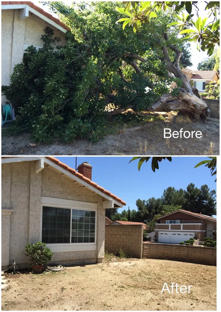 Custom lawn care service for homes in Fullerton, CA by Jae Tree Service