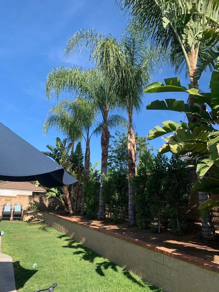 Affordable residential landscaping for beautiful yards across Fullerton, CA - Jae Tree Service