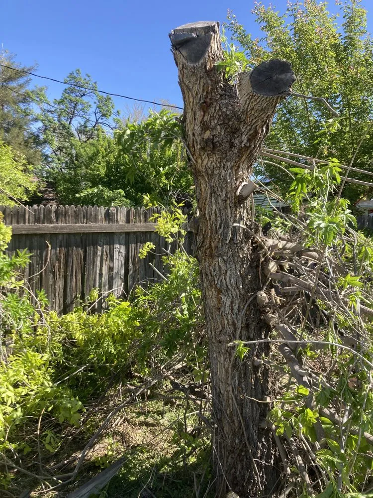 Trusted garden landscaping in Salt Lake City, UT by JAF Landscaping