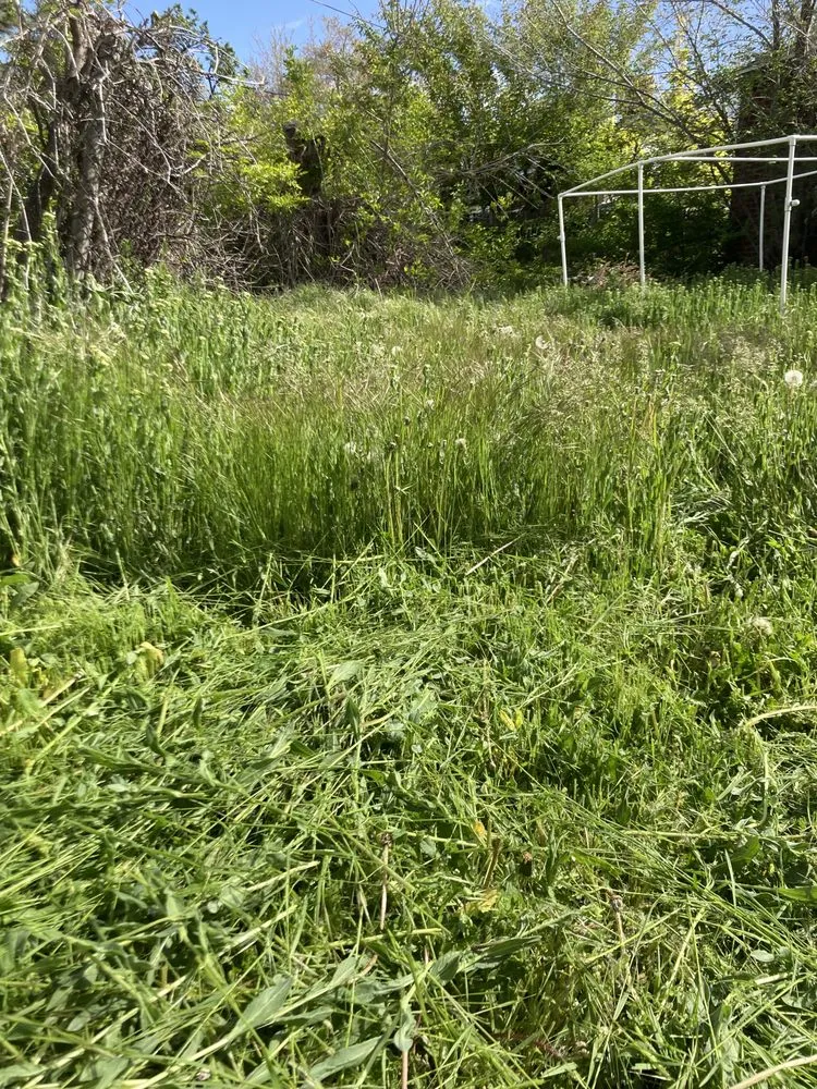 Expert yard maintenance in Salt Lake City, UT - JAF Landscaping