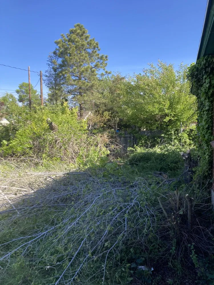 Top-rated lawn care service in Salt Lake City, UT - JAF Landscaping