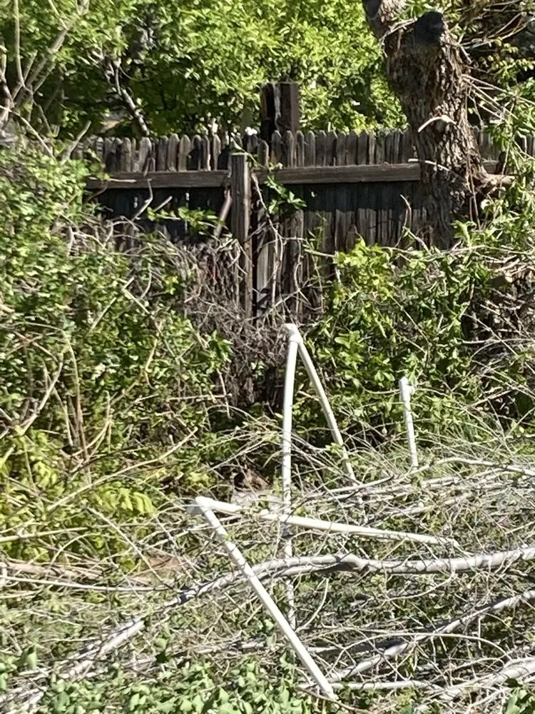 Expert outdoor landscaping in Salt Lake City, UT - JAF Landscaping