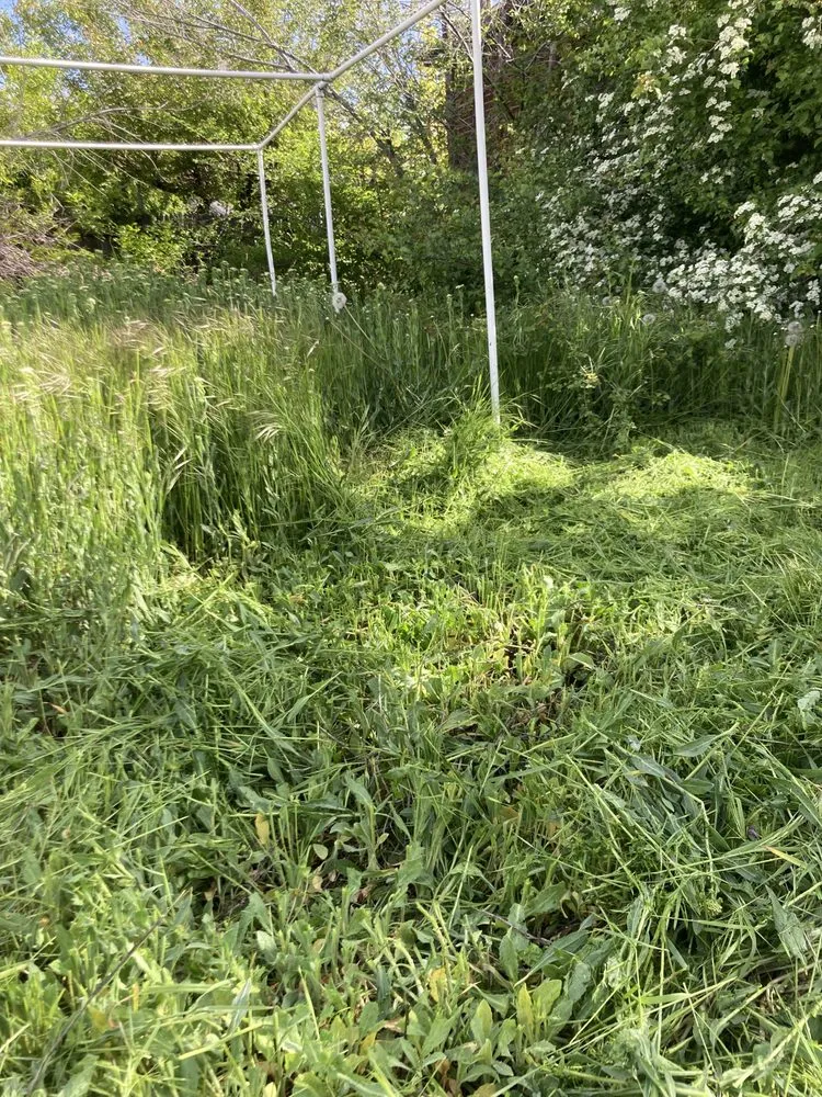 Reliable lawn care service experts serving Salt Lake City, UT - JAF Landscaping