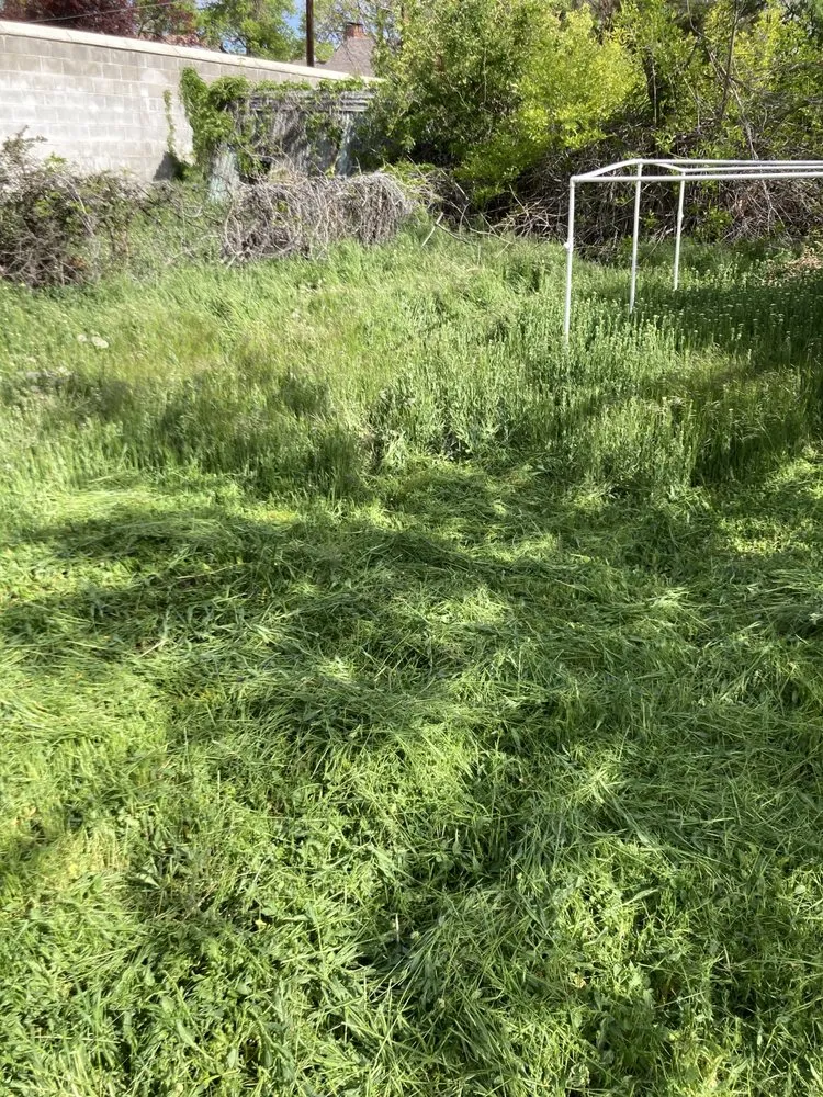 Custom landscape installation in Salt Lake City, UT - JAF Landscaping