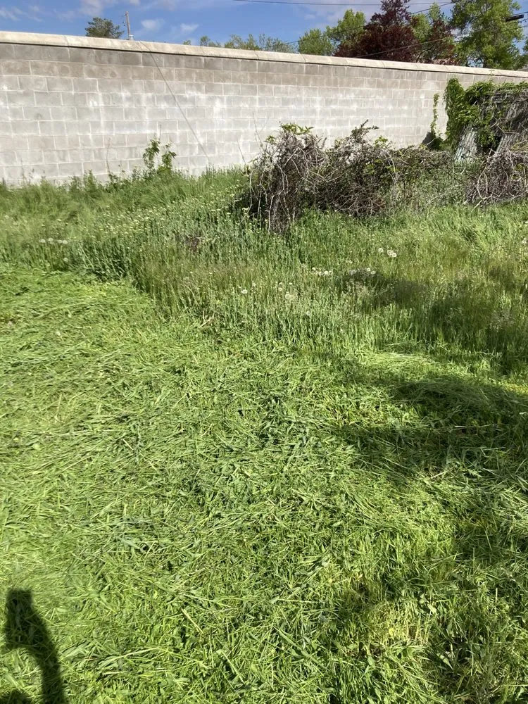 Custom landscaping services experts serving Salt Lake City, UT - JAF Landscaping