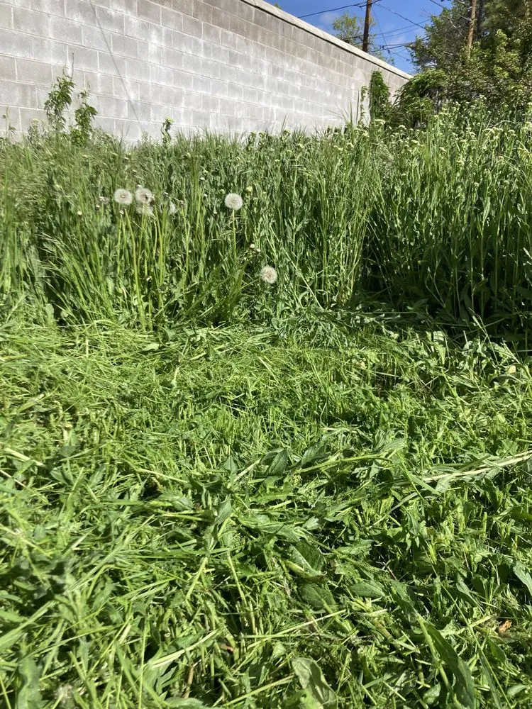 Affordable garden landscaping in Salt Lake City, UT - JAF Landscaping