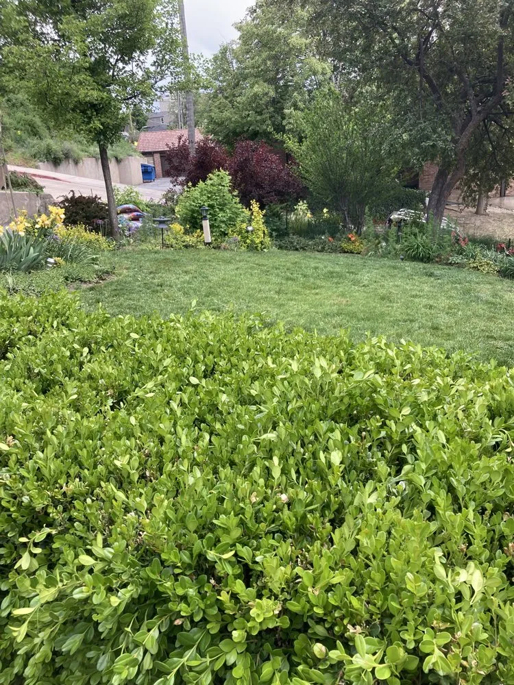 Top-rated lawn care service experts serving Salt Lake City, UT - JAF Landscaping