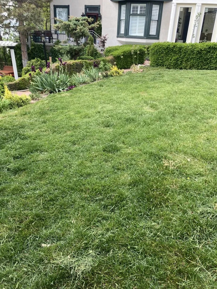 Local landscaping services in Salt Lake City, UT by JAF Landscaping