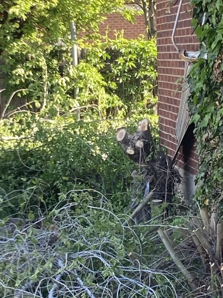 Affordable residential landscaping in Salt Lake City, UT - JAF Landscaping