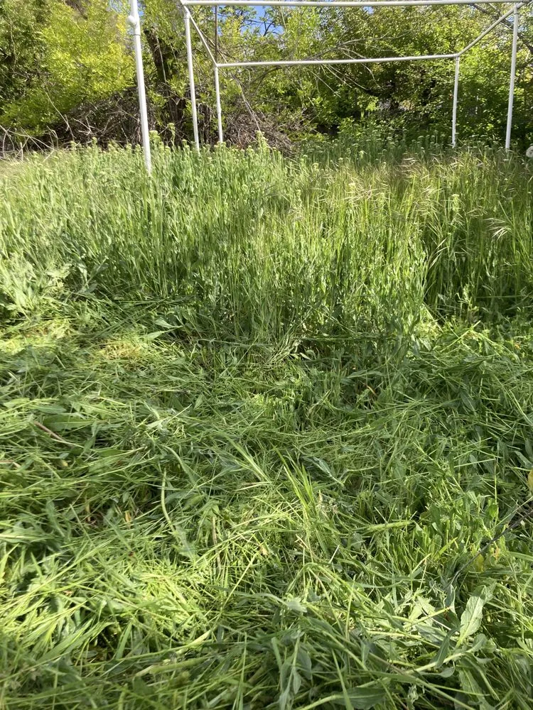 Expert landscape installation near you in Salt Lake City, UT by JAF Landscaping