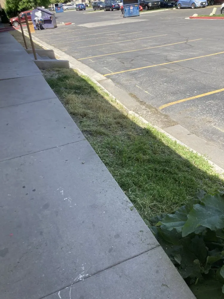 Expert landscaping services near you across Salt Lake City, UT - JAF Landscaping