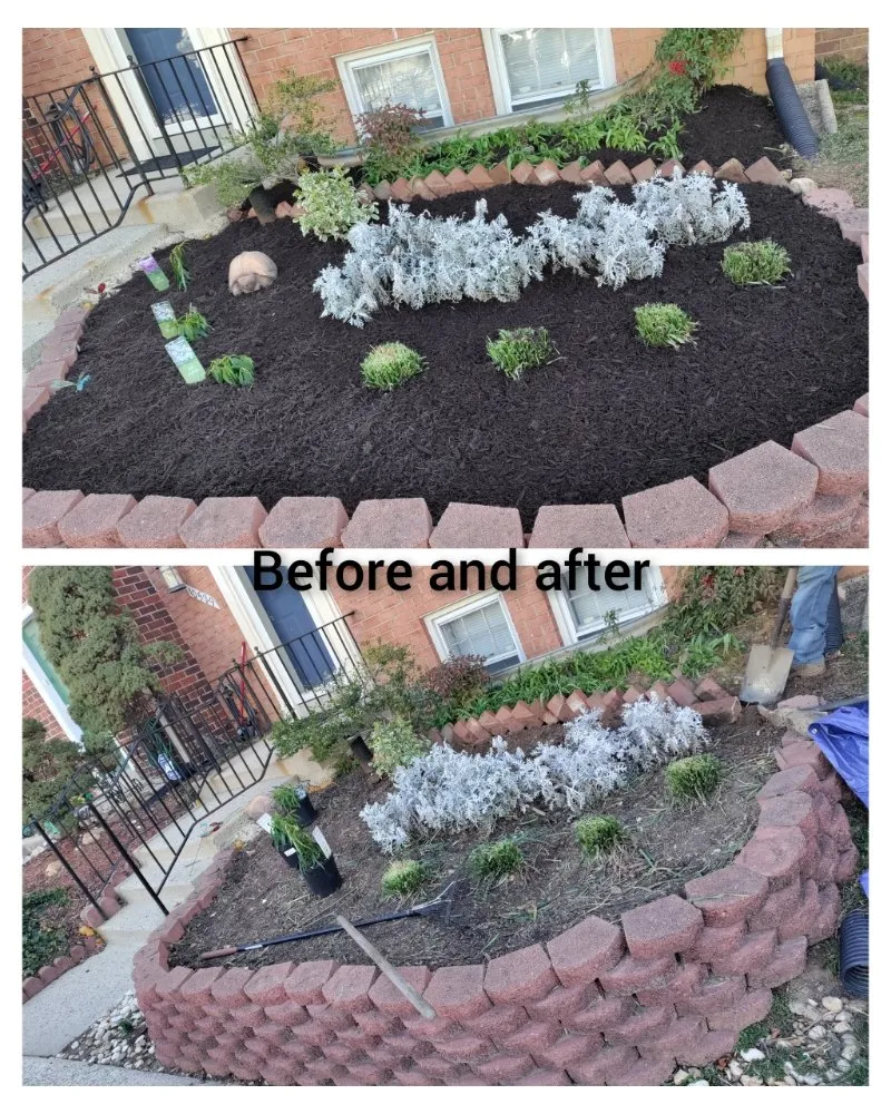 Top-rated landscaping services for year-round maintenance across Columbia, MD - Jaf Lawn Cut & Cleaning Service