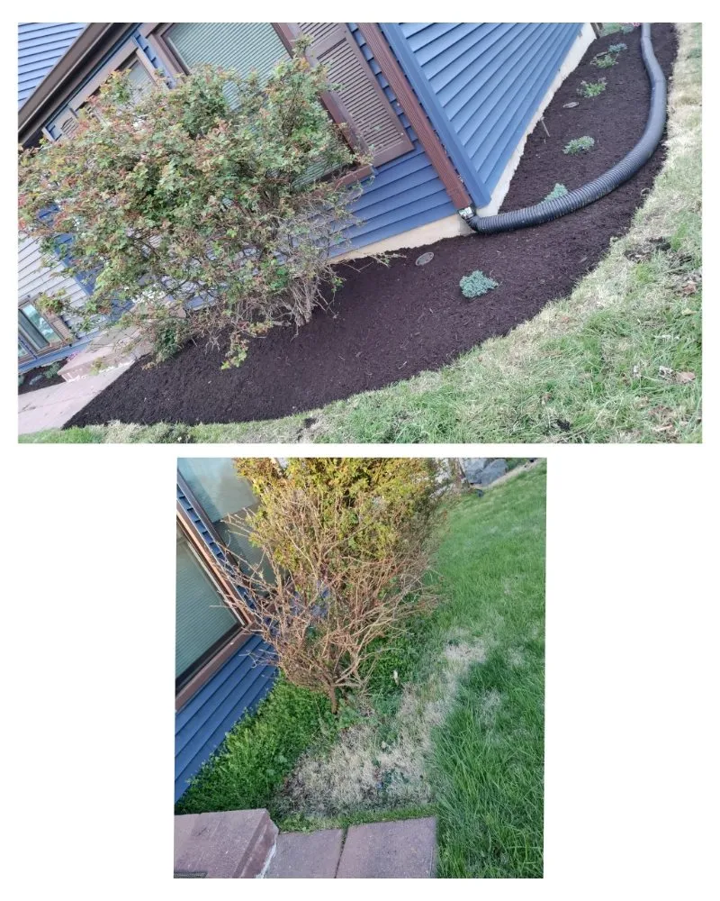 Expert landscape installation experts serving Columbia, MD - Jaf Lawn Cut & Cleaning Service