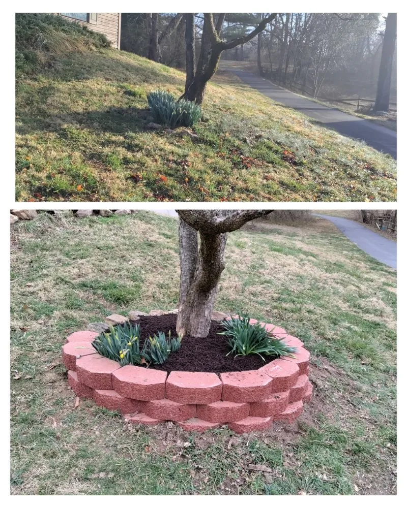 Trusted yard maintenance experts serving Columbia, MD - Jaf Lawn Cut & Cleaning Service