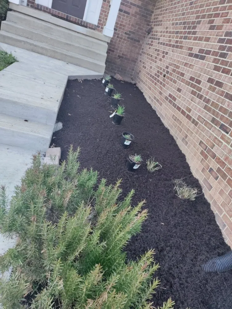 Reliable yard maintenance in Columbia, MD by Jaf Lawn Cut & Cleaning Service