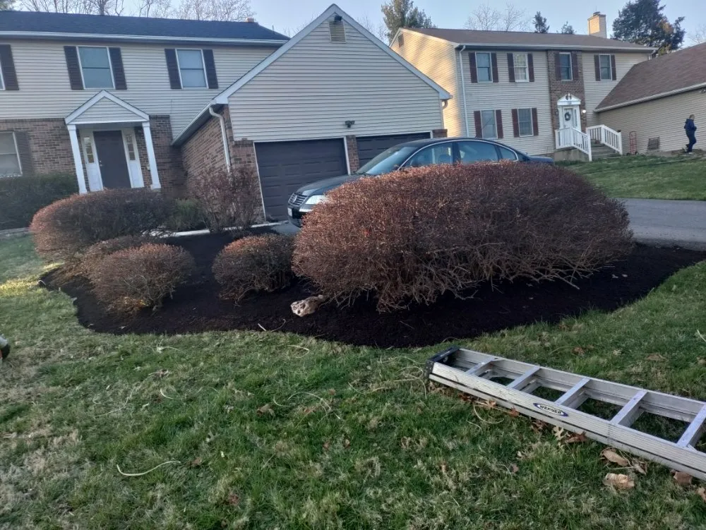 Professional residential landscaping in Columbia, MD by Jaf Lawn Cut & Cleaning Service