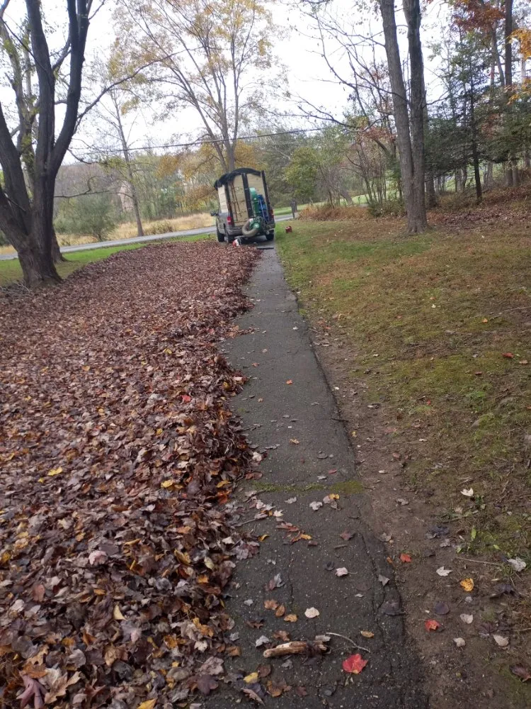 Affordable lawn mowing service in Columbia, MD - Jaf Lawn Cut & Cleaning Service