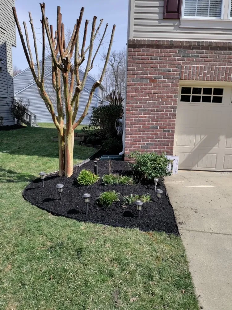 Reliable lawn care service experts serving Columbia, MD - Jaf Lawn Cut & Cleaning Service