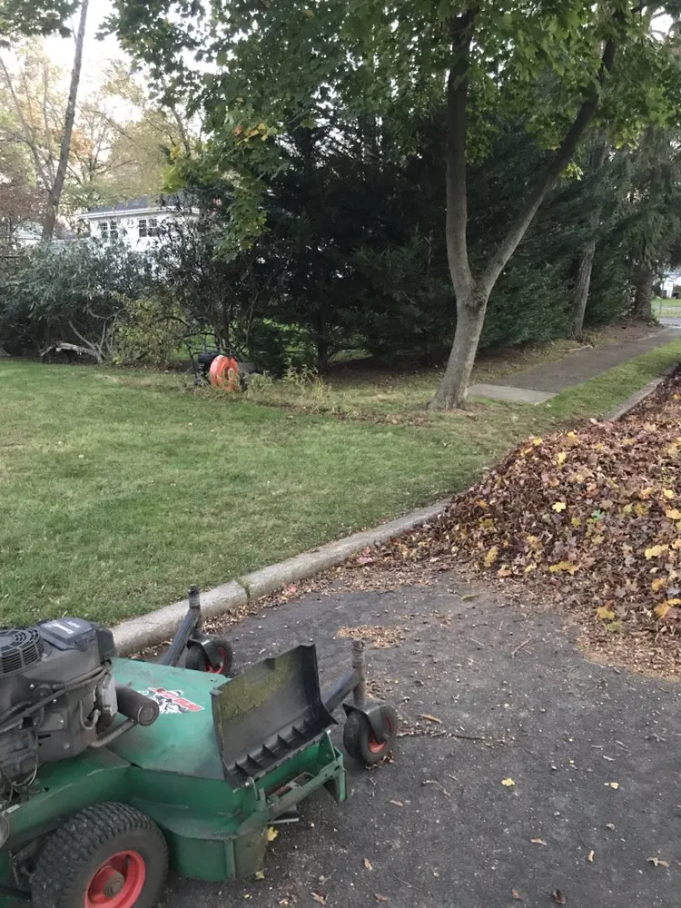 Expert landscaping services in Elmwood Park, NJ - Jaferi All Service