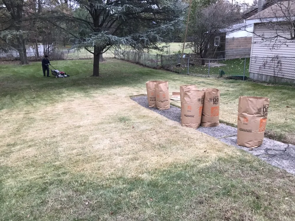 Professional yard cleanup service for year-round maintenance across Elmwood Park, NJ - Jaferi All Service