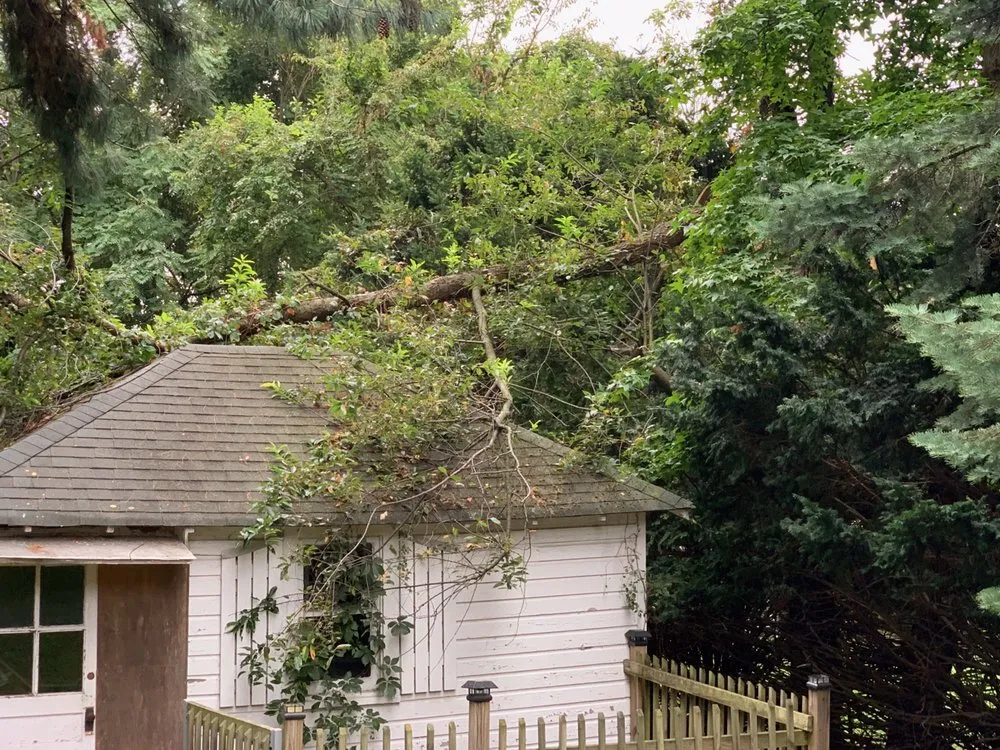 Reliable landscaping services in Elmwood Park, NJ - Jaferi All Service