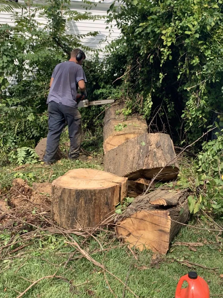 Expert landscaping services in Elmwood Park, NJ - Jaferi All Service