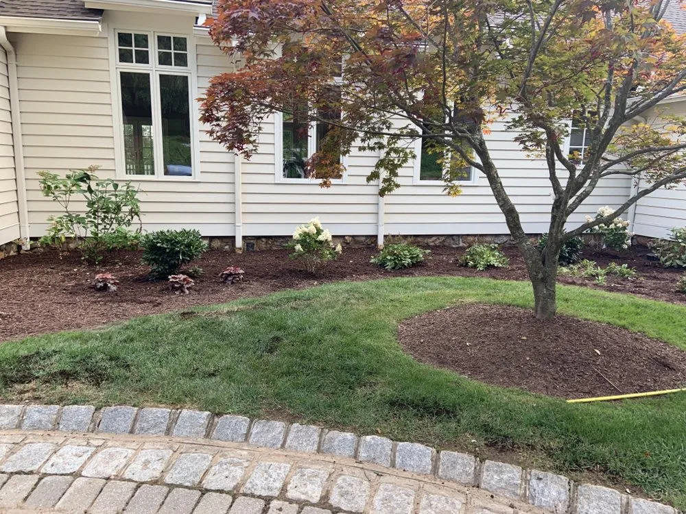 Local yard maintenance in Elmwood Park, NJ - Jaferi All Service