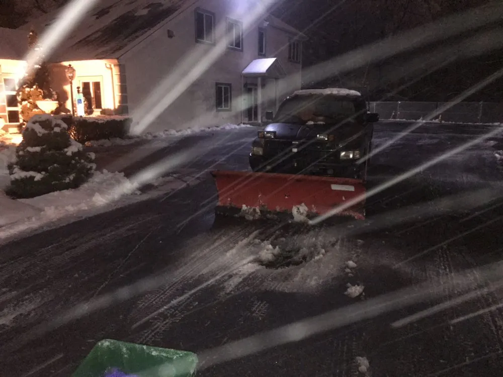 Custom yard cleanup service in Elmwood Park, NJ - Jaferi All Service