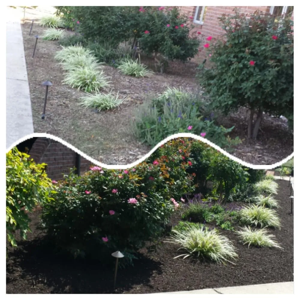 Local lawn care service in Purcellville, VA by JAG Landscaping Services