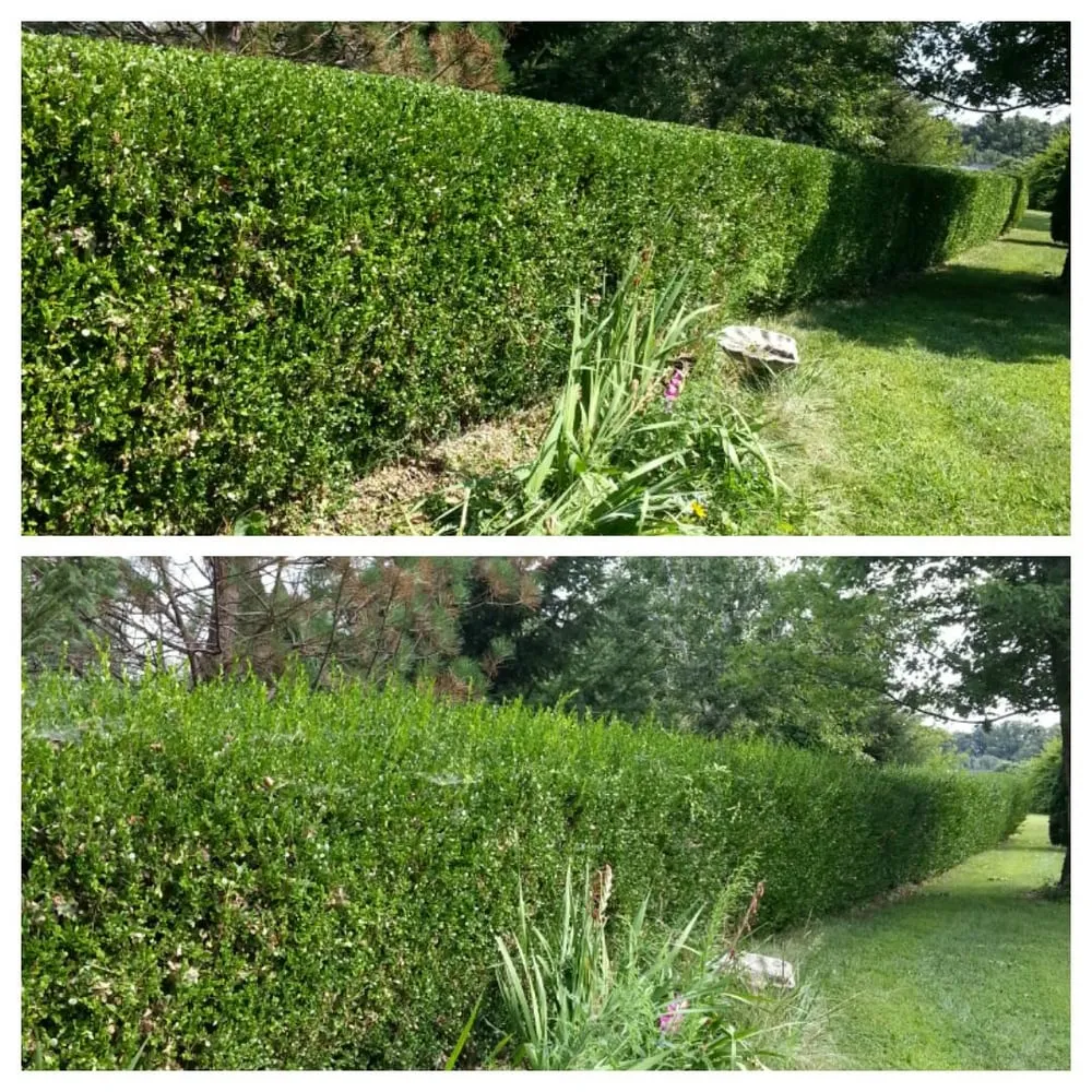 Trusted residential landscaping near you across Purcellville, VA - JAG Landscaping Services