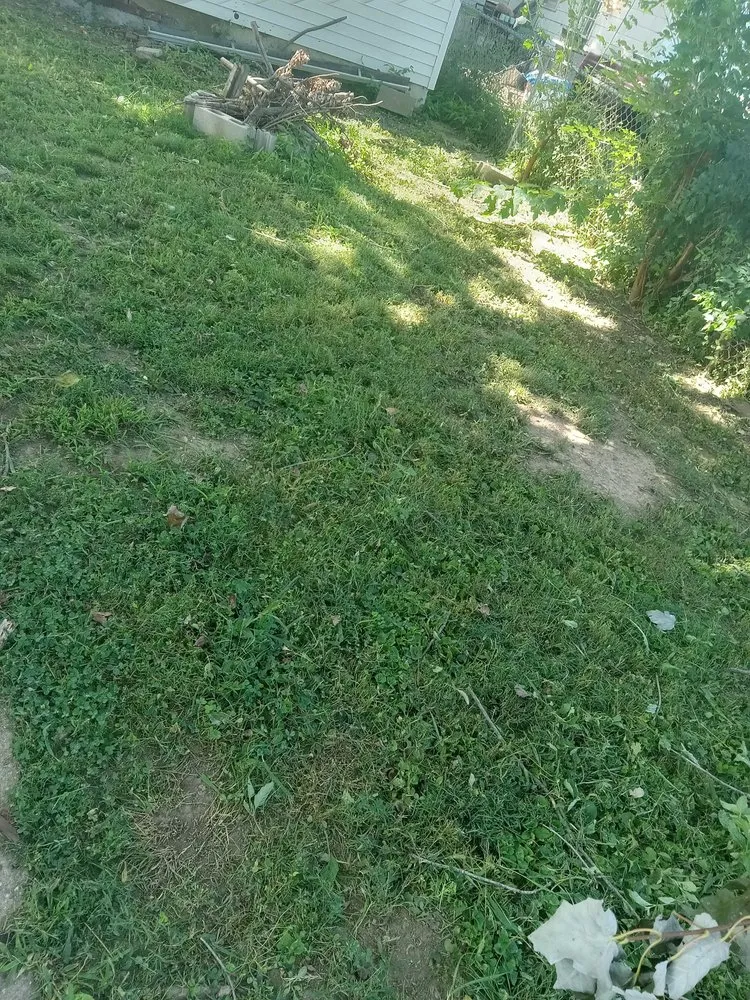 Professional yard cleanup service in Evansville, IN by Jag Lawn Care