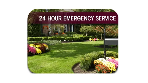 Expert yard cleanup service with custom design across Sarasota, FL - JAG Lawn Maintenance