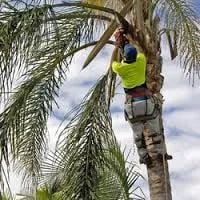 Trusted residential landscaping for year-round maintenance across Sarasota, FL - JAG Lawn Maintenance