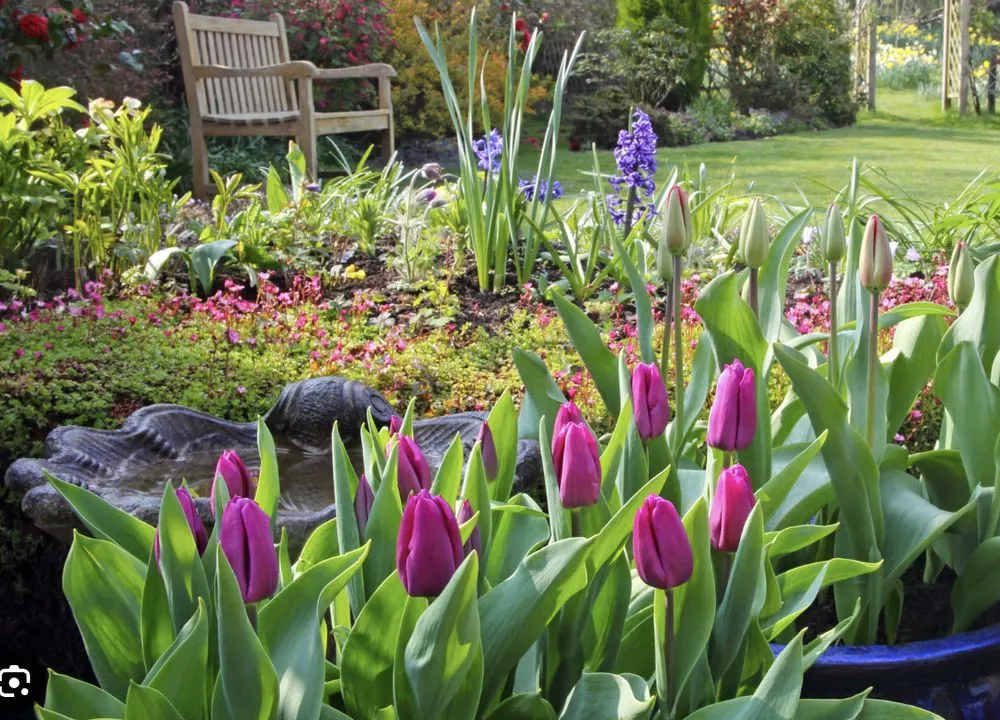 Top-rated garden landscaping experts serving Sarasota, FL - JAG Lawn Maintenance