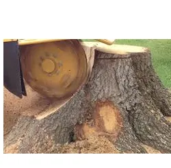 Top-rated outdoor landscaping experts serving Sarasota, FL - JAG Lawn Maintenance