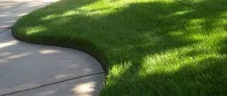 Top-rated yard maintenance experts serving Sarasota, FL - JAG Lawn Maintenance