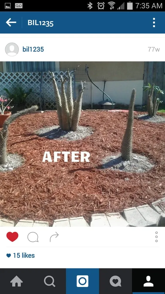 Top-rated residential landscaping in Sarasota, FL - JAG Lawn Maintenance