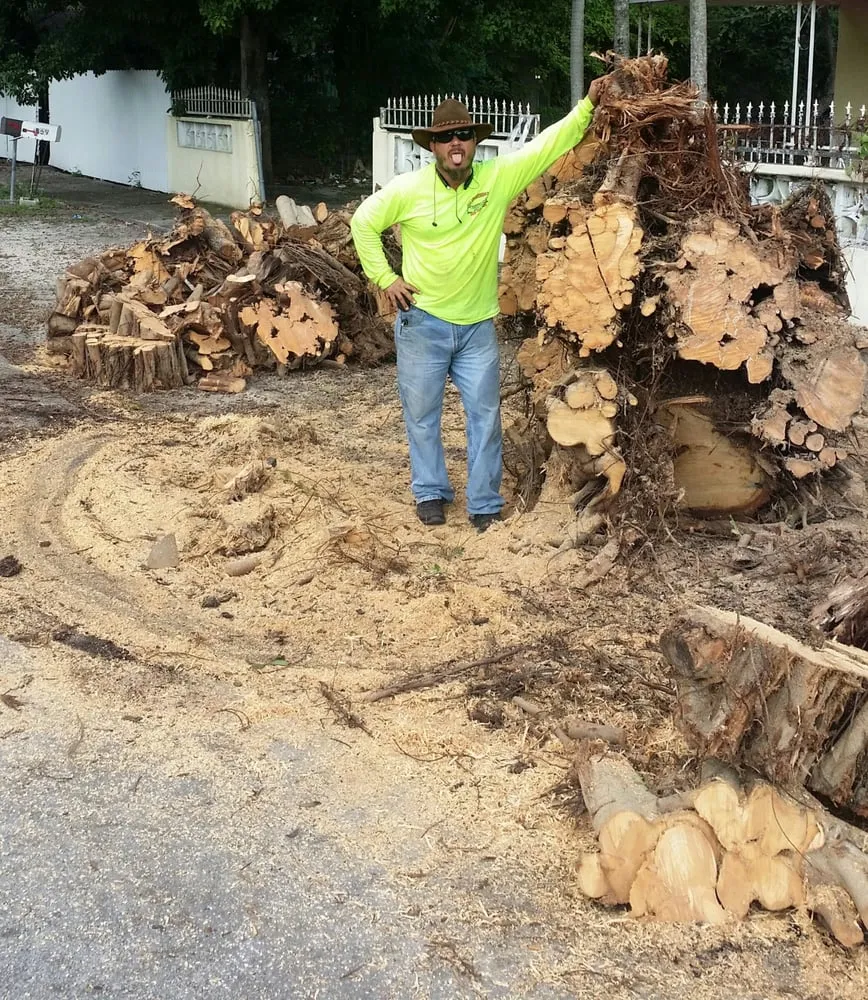 Professional landscape design experts serving Sarasota, FL - JAG Lawn Maintenance