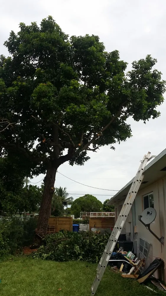 Top-rated lawn mowing service for homes in Sarasota, FL by JAG Lawn Maintenance