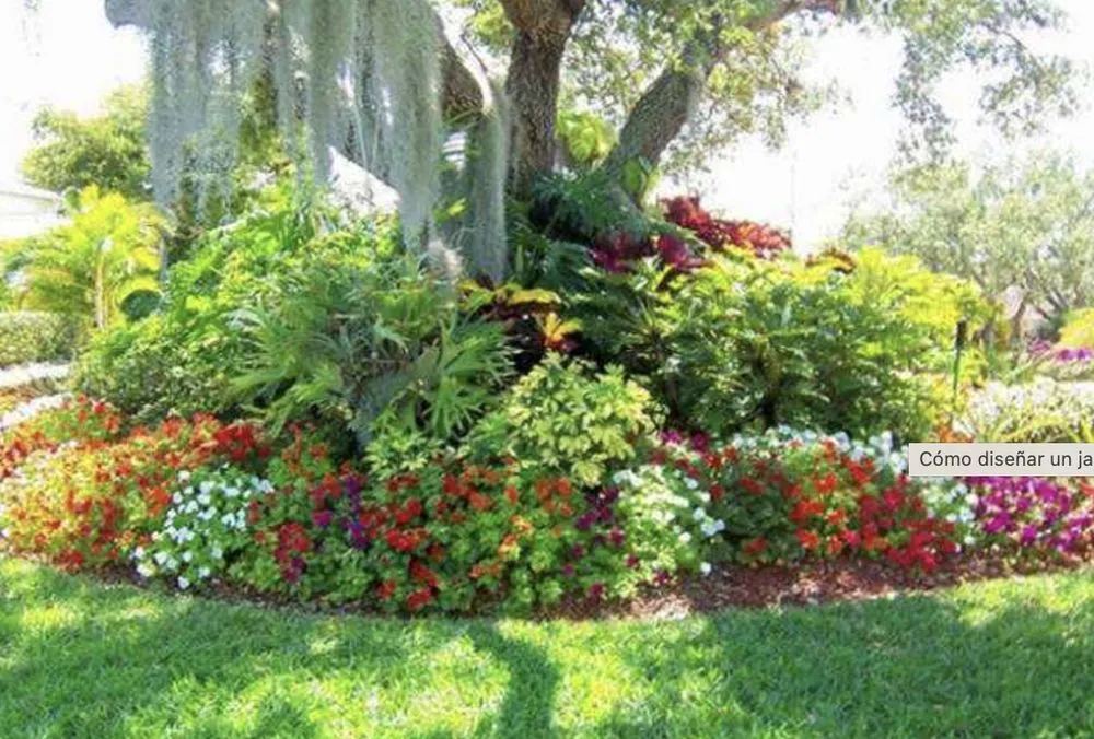 Local yard cleanup service for homes in Sarasota, FL by JAG Lawn Maintenance