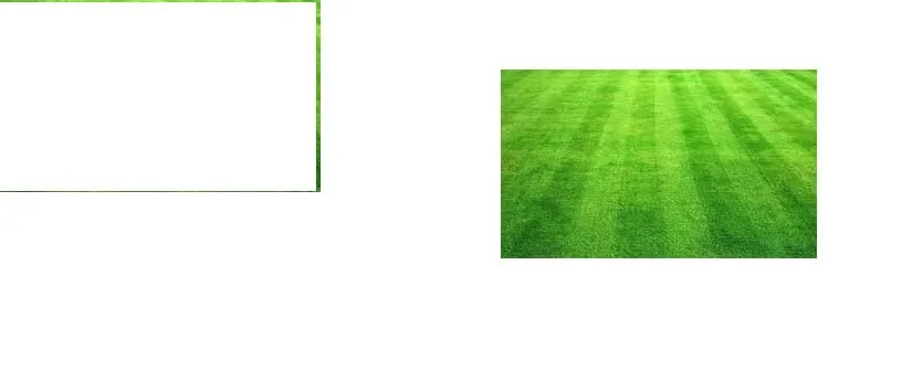 Affordable landscaping services for year-round maintenance in Sarasota, FL by JAG Lawn Maintenance